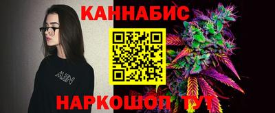 сатива Камышлов