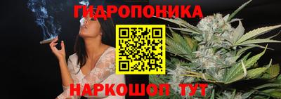 сатива Камышлов