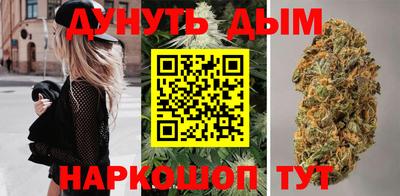 сатива Камышлов