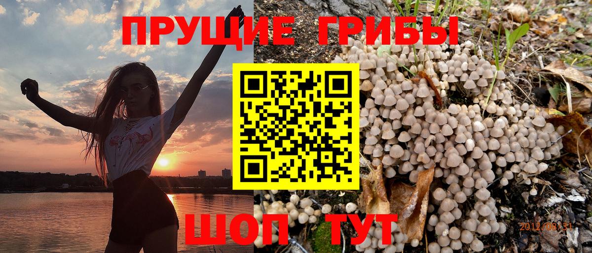 Псилоцибиновые грибы мицелий Кувандык
