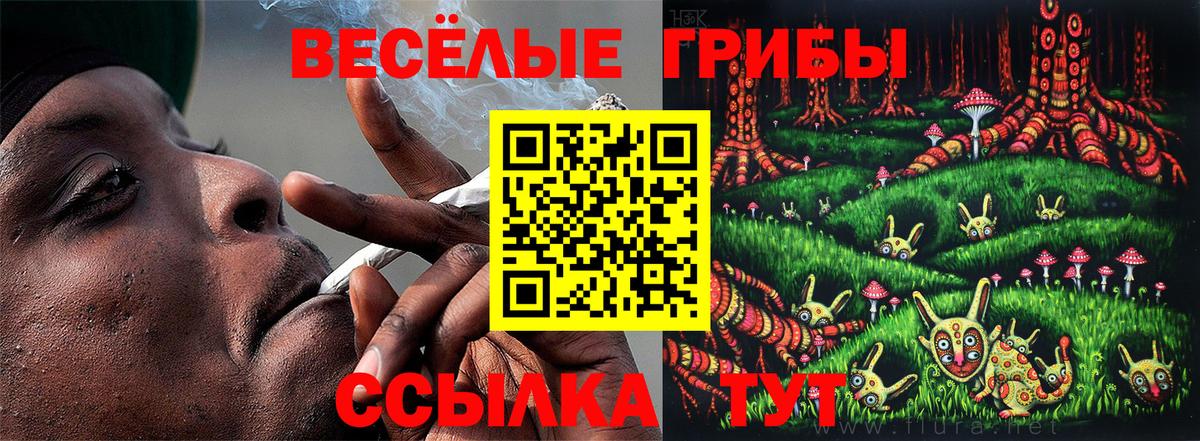 Псилоцибиновые грибы Cubensis  Вход с VPN  Кувандык 